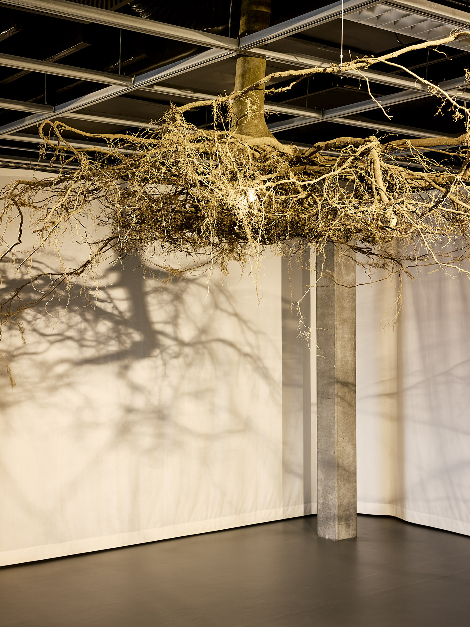 LIVE MATTER - Design Vegetal